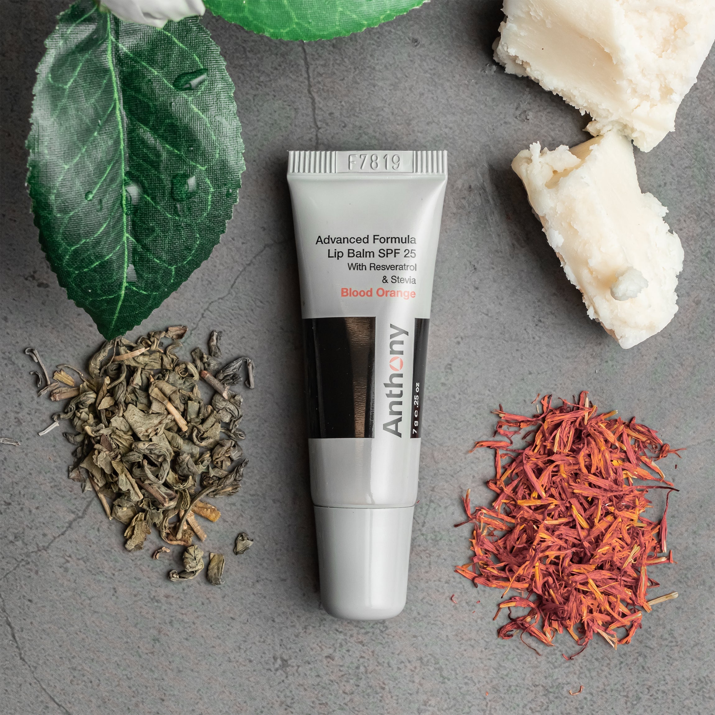 Blood Orange Advanced Formula SPF 25 Lip Balm