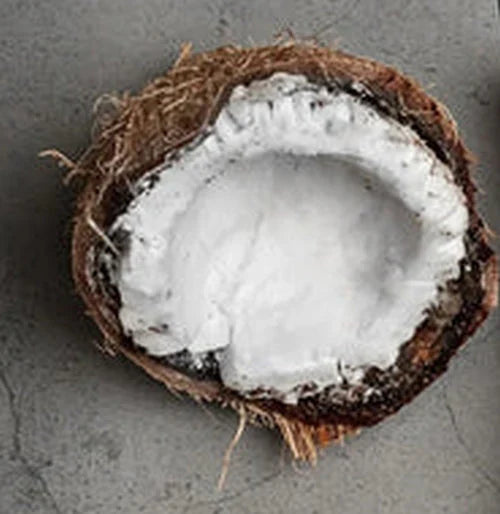 Coconut Oil In Skin Care