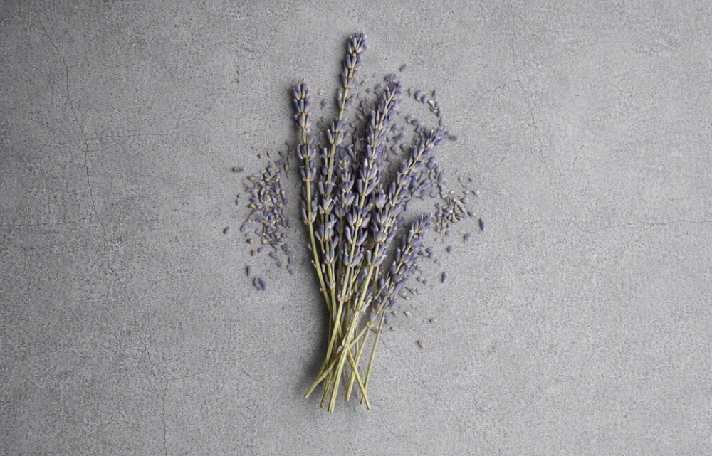 Lavender For Skin Care Guide